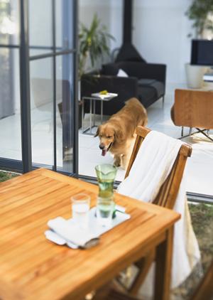 風呂ドアの交換をするならこの会社へ