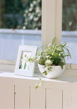 玄関網戸の効果と実用性について